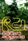木瓜蛋白酶与番木瓜栽培 封面