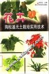 花卉陶粒基无土栽培实用技术 封面