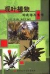 观叶植物的栽培与装饰 封面
