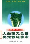 大白菜无公害高效栽培技术 封面