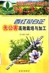 西红花白芷无公害高效栽培与加工 封面