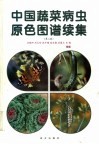 中国蔬菜病虫原色图谱续集  第2版 封面