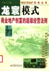 龙寰模式  商业地产创富的超级经营法则 封面