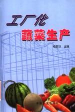 工厂化蔬菜生产 封面