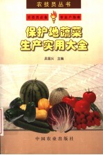 保护地蔬菜生产实用大全 封面