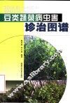 豆类蔬菜病虫害诊治图谱 封面