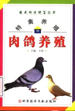 特禽养殖  肉鸽养殖 封面
