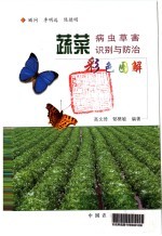 蔬菜病虫草害识别与防治彩色图解 封面