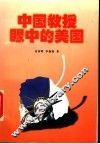 中国教授眼中的美国 封面