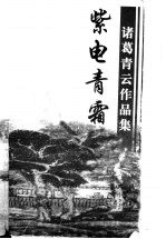 紫电青霜  下 封面
