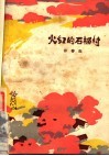 火红的石榴村 封面