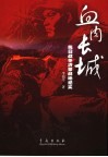 血肉长城  抗日战争沂蒙战地纪实 封面