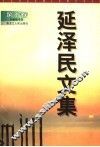 延泽民文集  第10卷  杂感随笔卷 封面