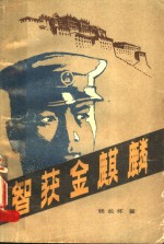 智获金麒麟 封面