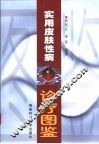 实用皮肤性病诊疗图鉴 封面