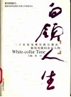 白领人生  二十余家电视台联合播出独领风骚的出众人物 封面