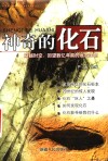 神奇的化石  穿越时空，回望数亿年前的远古生物 封面