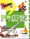 植物押花 封面