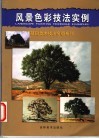 风景色彩技法实例 封面