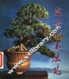盆景艺术展览选编 封面