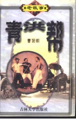 青洪帮 封面
