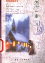 欠你一束月光 封面