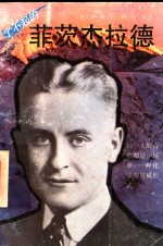 了不起的菲茨杰拉德 封面