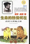 生命的热情何在  高更大溪地之旅 封面