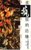 在疯狂的边缘  美国新诗选 封面