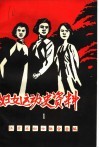 妇女运动史资料  第1集  女烈士英雄事迹专辑 封面