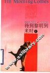 待到黎明到来时  上 封面