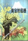 黄金的稻穗 封面