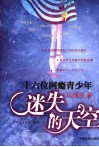 迷失的天空  十六位网瘾青少年口述实录 封面