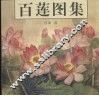 百莲图集  中英文本 封面