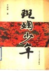 斑斓少年 封面