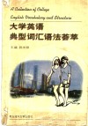 大学英语典型词汇语法荟萃 封面