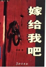 嫁给我吧 电子书封面