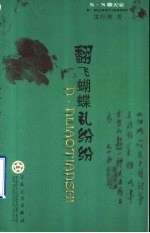 翻飞蝴蝶乱纷纷 封面