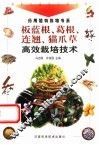 板蓝根、葛根、连翘、猫爪草高效栽培技术 封面