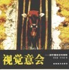 视觉意会  现代媒体艺术探索 封面
