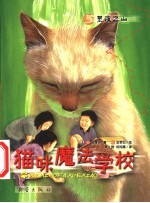 灵魂之山 封面