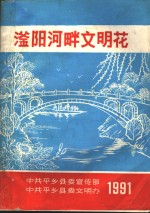 滏阳河畔文明花 封面