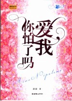 爱我你怕了吗 封面