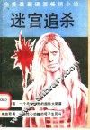 迷宫追杀 封面