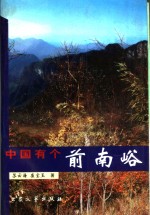 中国有个前南峪  长篇纪实文学 封面