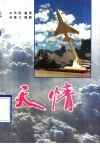 天情 封面