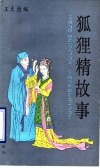 狐狸精故事 封面