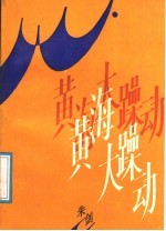 黄海大躁动 封面