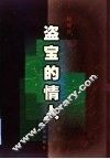盗宝的情人 封面