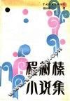 程树榛小说集 电子书封面